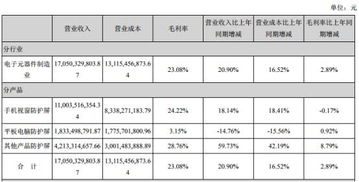 蓝思科技上市以来首亏股价暴跌75 任职九年的董秘离职